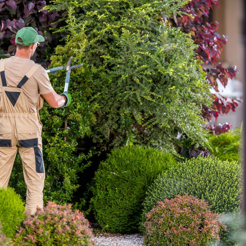 roma_service_giardinaggio_02